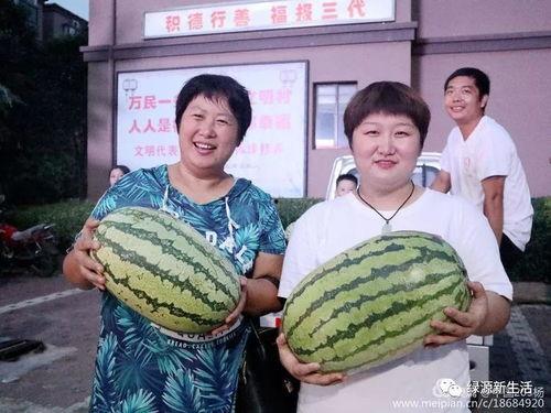 吃瓜网红照片大全高清